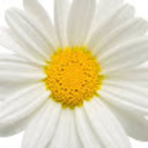 Meet your Posher, Patti